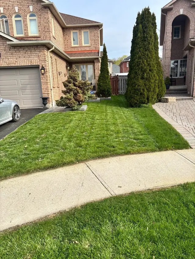 lawn master - Photo 3