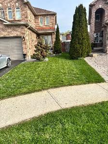 lawn master - Photo 3