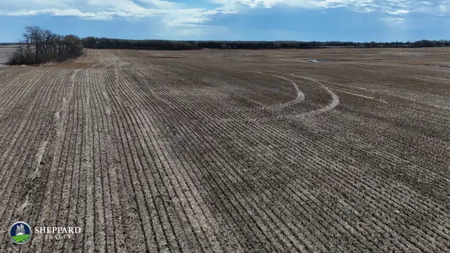 1 Quarter | R.M. of Edenwold # 158 | Near Zehner, SK - Photo 5