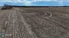 1 Quarter | R.M. of Edenwold # 158 | Near Zehner, SK - Photo 5
