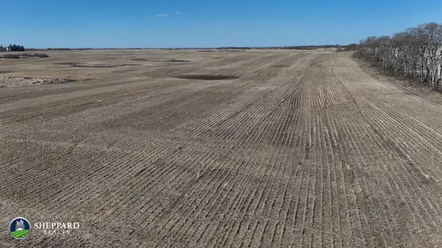1 Quarter | R.M. of Edenwold # 158 | Near Zehner, SK - Photo 6