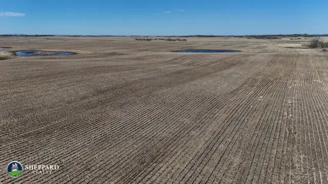 1 Quarter | R.M. of Edenwold # 158 | Near Zehner, SK - Photo 7