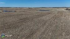 1 Quarter | R.M. of Edenwold # 158 | Near Zehner, SK - Photo 7