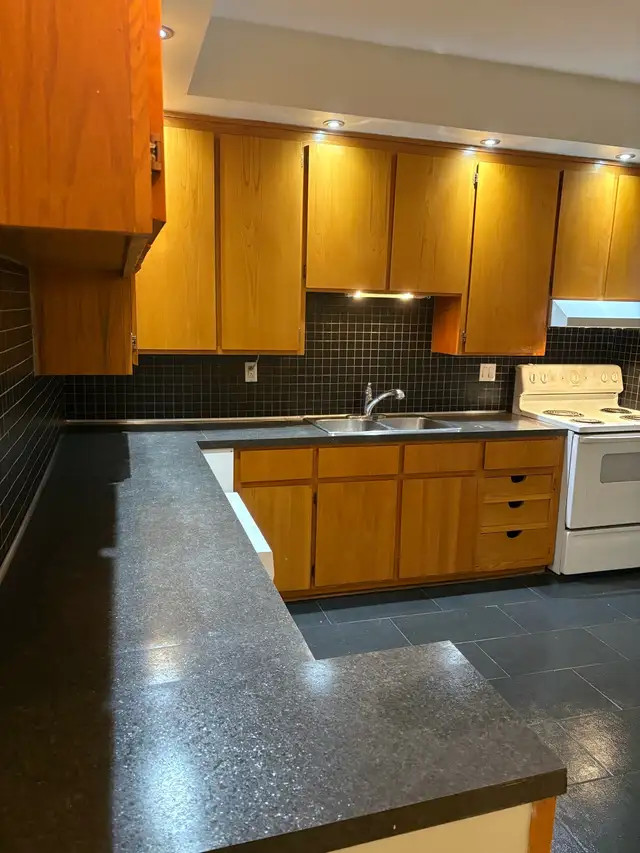 PLATEAU…4-5 Bedroom…2 BATHROOMS - Photo 7