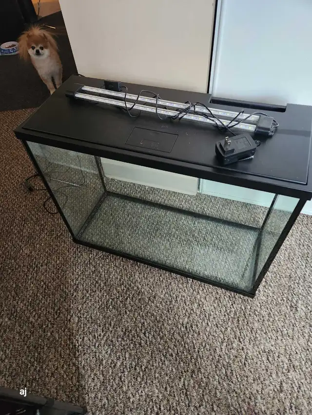 37 galon fish tank