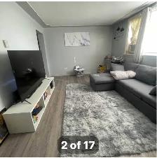 Bright 1 Bed Apartment available - Photo 2