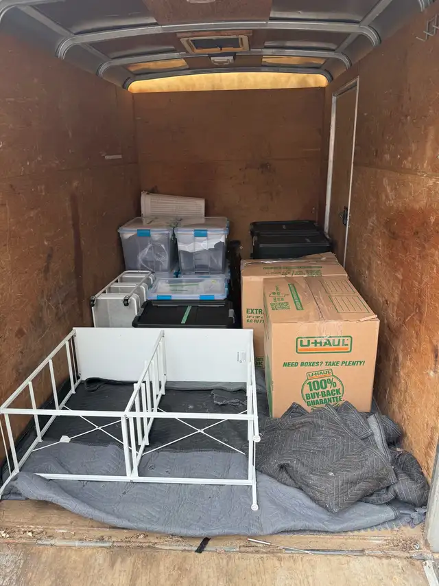 Moving Crew - Photo 2