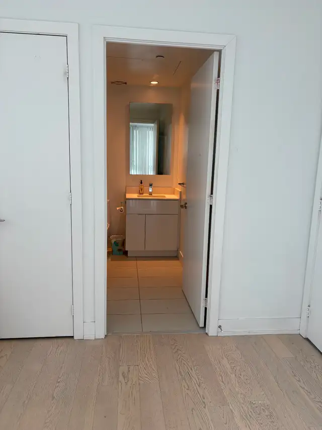 1 Unfurnished Bed/bath in a 2-Bed/Bath condo starting June/July - Photo 11