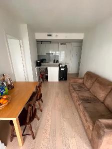1 Unfurnished Bed/bath in a 2-Bed/Bath condo starting June/July - Photo 15