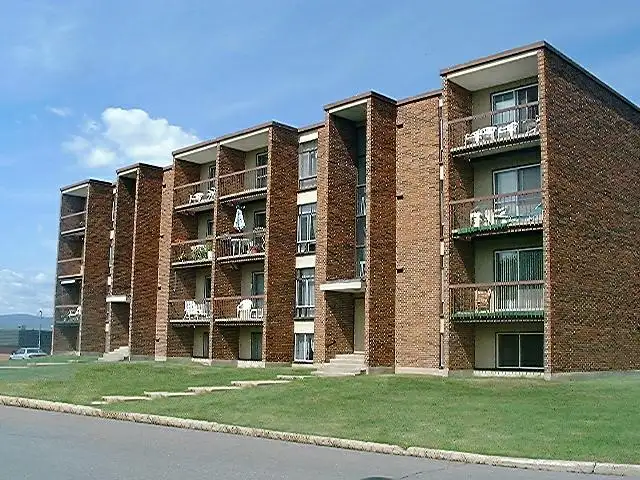 2 1/2 LÉVIS