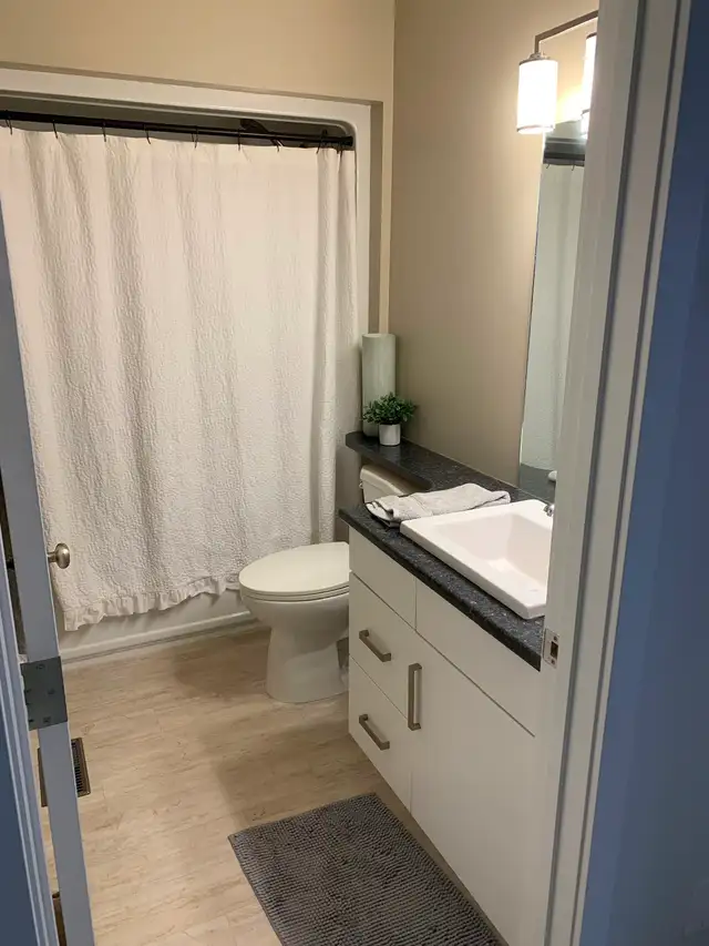 4 Bed 2 Bath House for Rent - Blumenort - Photo 18