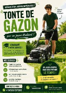 tonte gazon