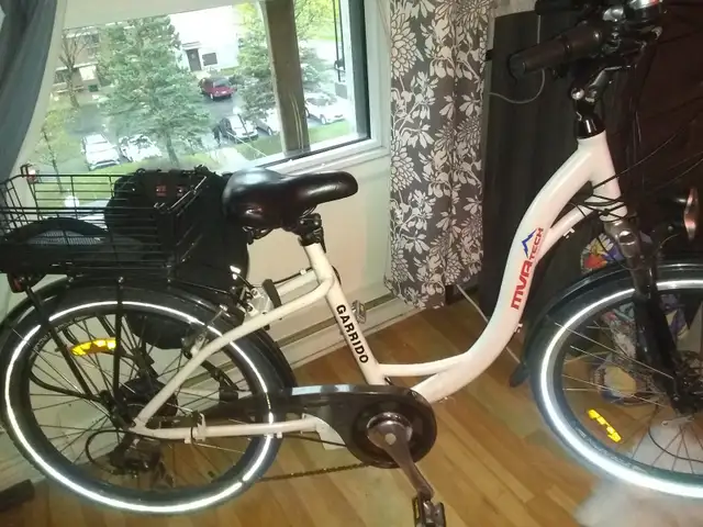 ELECTRIC BICYCLE