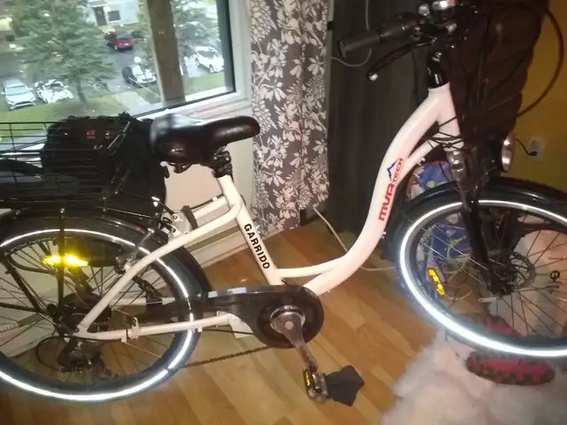 ELECTRIC BICYCLE - Photo 3