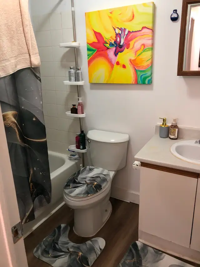 CARLETON PLACE APARTMENT FOR RENT - Photo 3