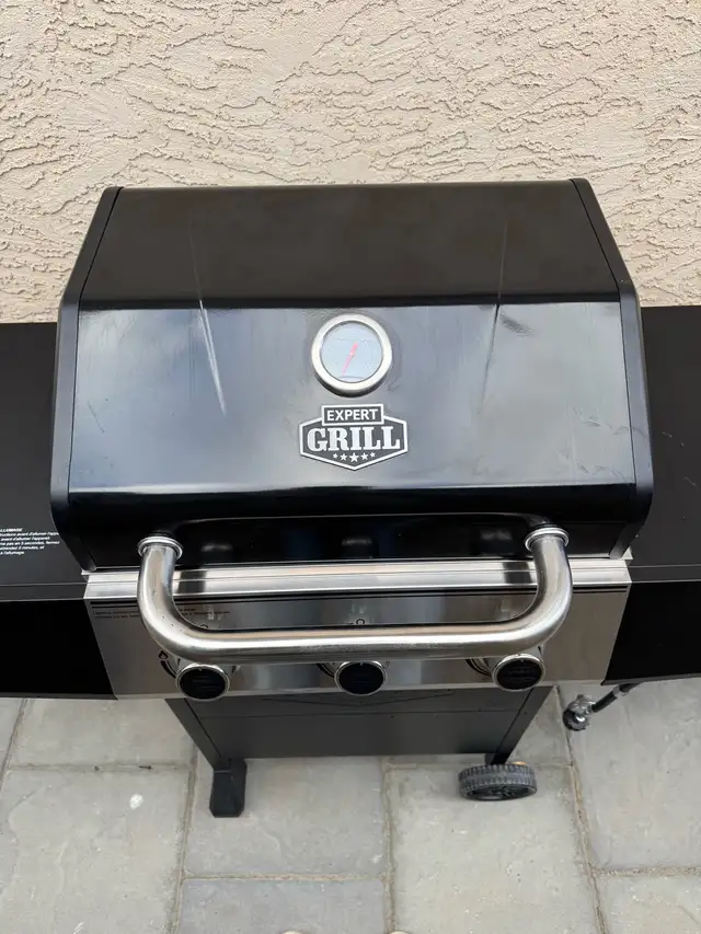 Barbecue - Photo 3