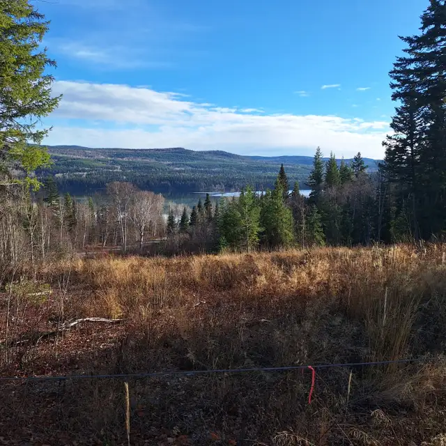 ✨ 5.17 ACRE PROPERTY AT TABOR LAKE WITH INCREDIBLE LAKE VIEWS! ✨ - Photo 4