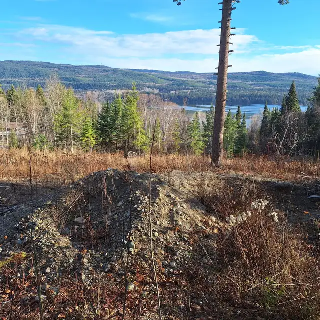 ✨ 5.17 ACRE PROPERTY AT TABOR LAKE WITH INCREDIBLE LAKE VIEWS! ✨ - Photo 6