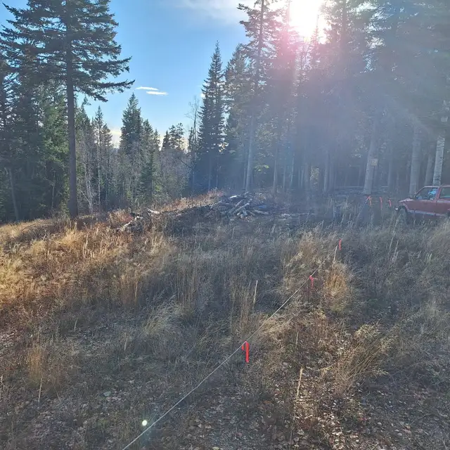 ✨ 5.17 ACRE PROPERTY AT TABOR LAKE WITH INCREDIBLE LAKE VIEWS! ✨ - Photo 8