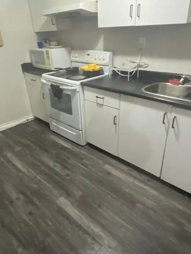 SHARED ROOM AVAILABLE FOR RENT NEAR SHERIDAN COLLEGE BRAMPTON - Photo 6