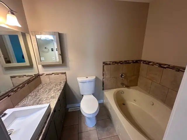 3 bath   2 bdrm (  full basement) townhouse - Photo 7