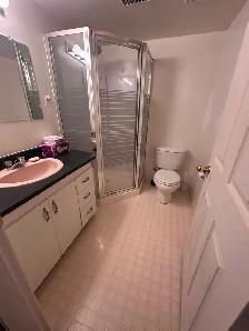 3 bath   2 bdrm (  full basement) townhouse - Photo 10