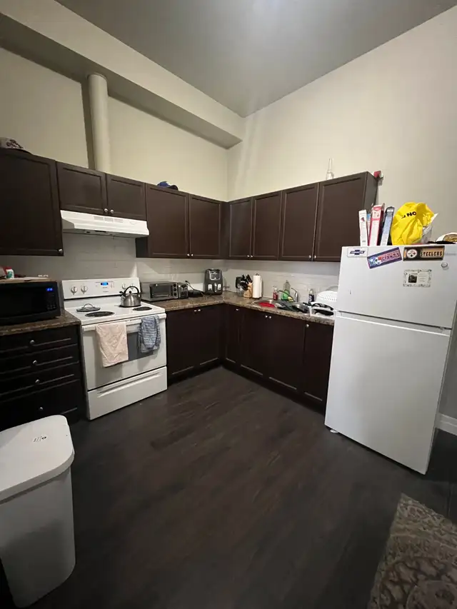 Beautiful One Bedroom plus den Apartment Downtown Woodstock