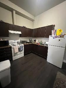 Beautiful One Bedroom plus den Apartment Downtown Woodstock
