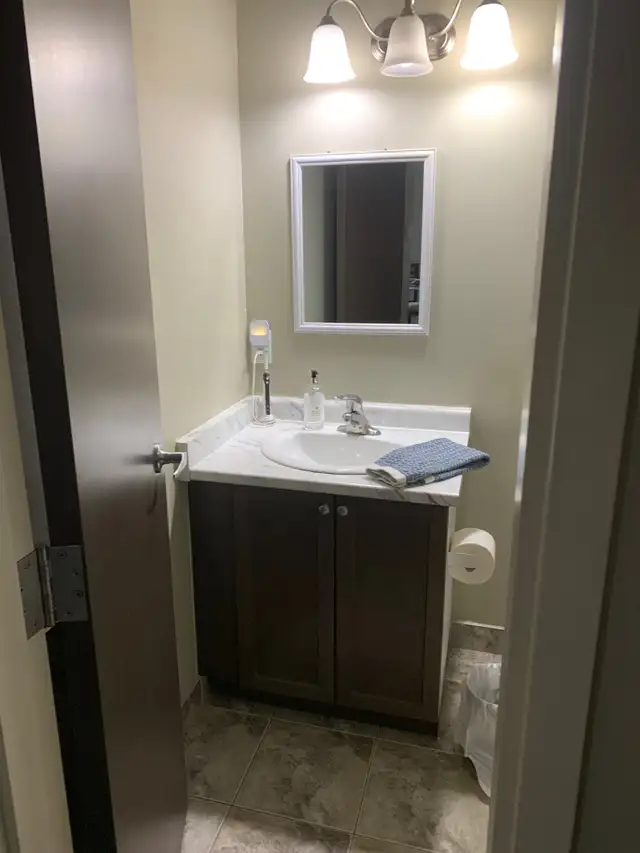 Beautiful One Bedroom plus den Apartment Downtown Woodstock - Photo 2