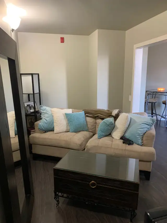 Beautiful One Bedroom plus den Apartment Downtown Woodstock - Photo 5