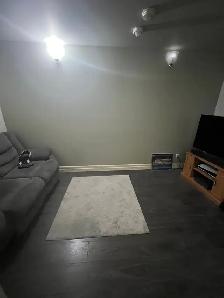 Beautiful One Bedroom plus den Apartment Downtown Woodstock - Photo 6