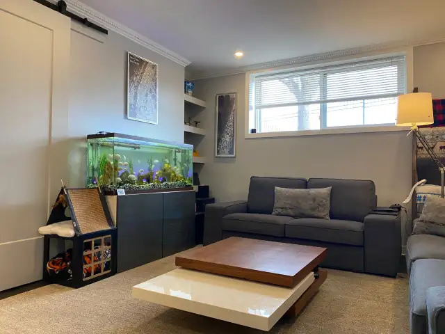 TWO BEDROOM APARTMENT ON MERIVALE ROAD FOR JUNE 2026 - Photo 3