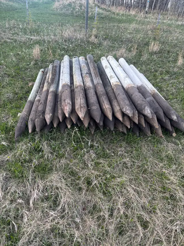 pressure treated fence posts