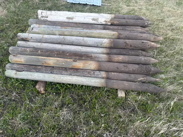 pressure treated fence posts - Photo 2
