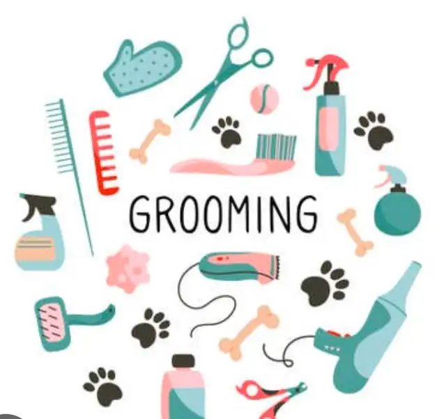 Pet GROOMING , Aylmer. - Photo 4