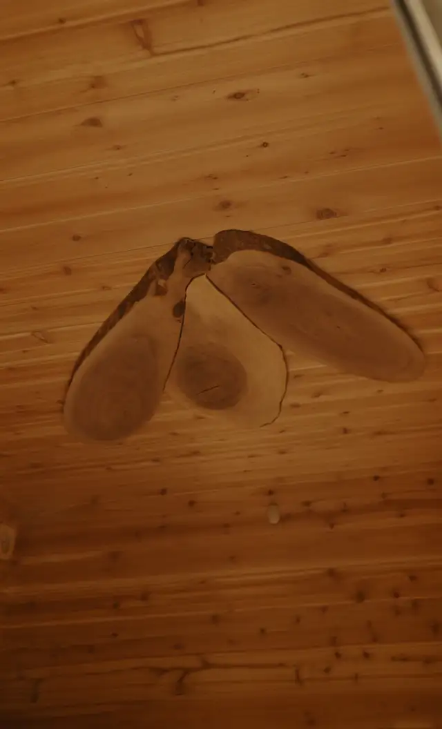 Luxury Sauna Noir - Photo 7