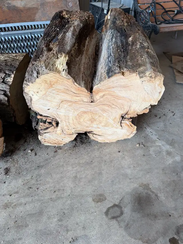 Maple wood slabs - Photo 3