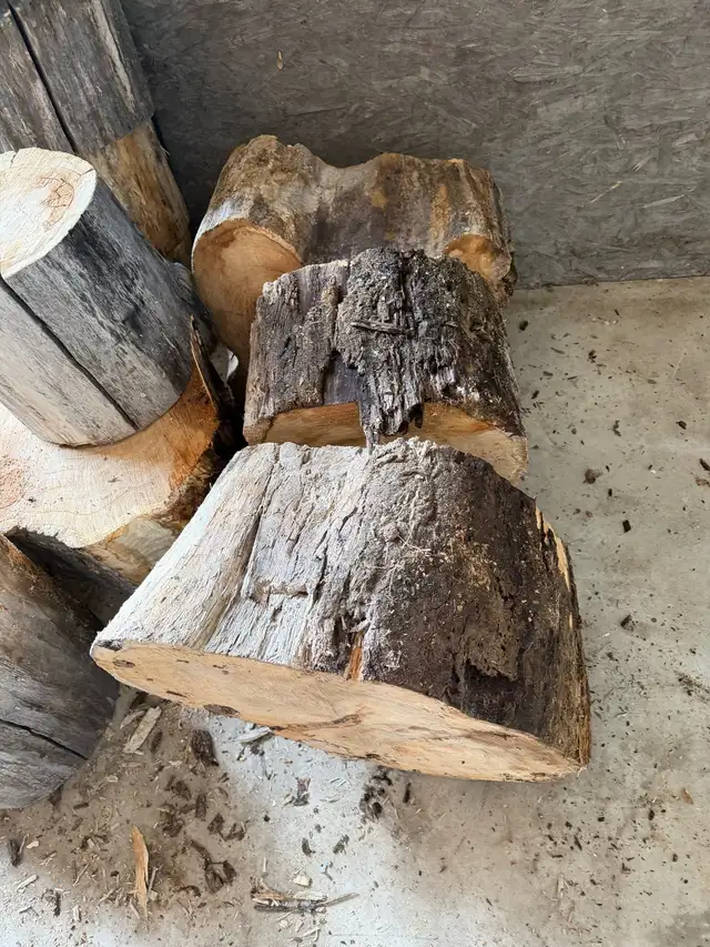 Maple wood slabs - Photo 6