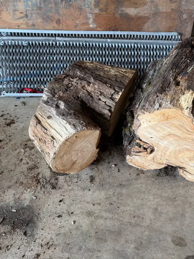 Maple wood slabs - Photo 7