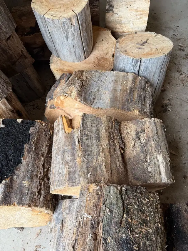 Maple wood slabs - Photo 8