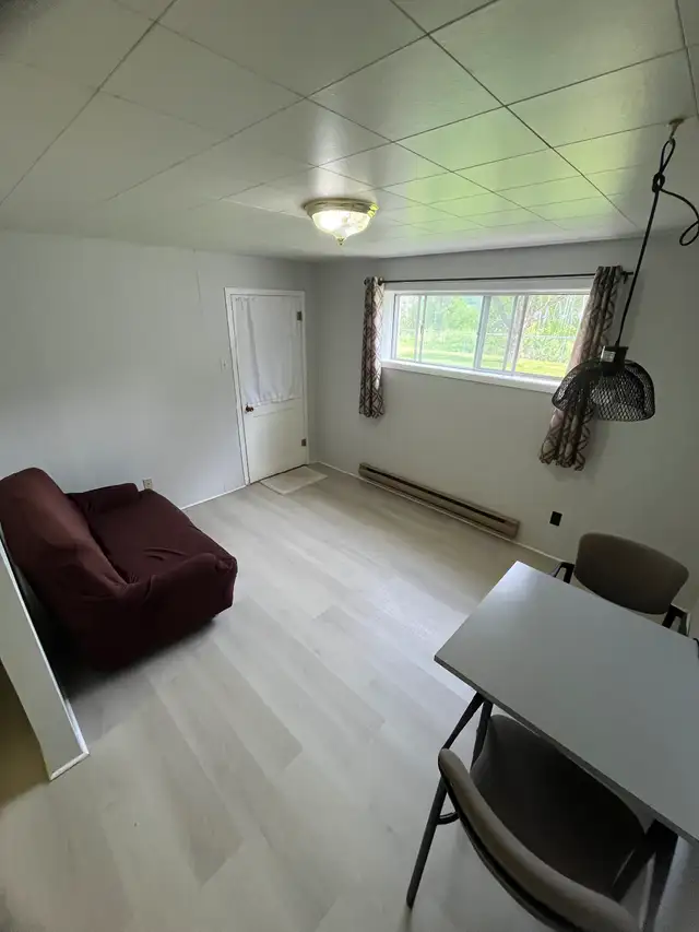 UPDATED BACHELOR SUITE IN CASTLEGAR - Photo 3