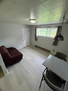 UPDATED BACHELOR SUITE IN CASTLEGAR - Photo 3