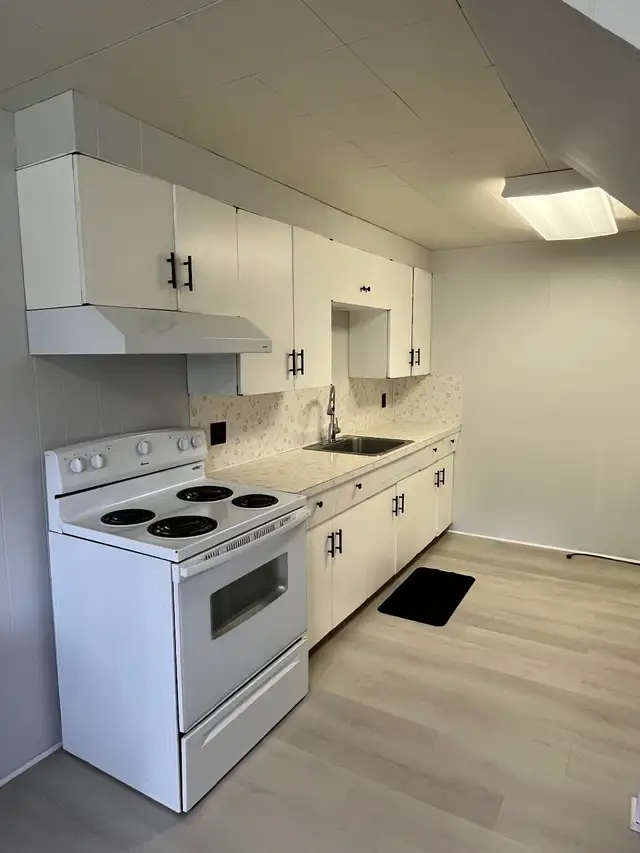 UPDATED BACHELOR SUITE IN CASTLEGAR - Photo 4