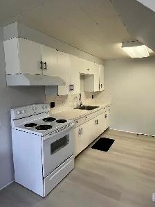 UPDATED BACHELOR SUITE IN CASTLEGAR - Photo 4