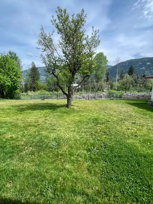 UPDATED BACHELOR SUITE IN CASTLEGAR - Photo 10