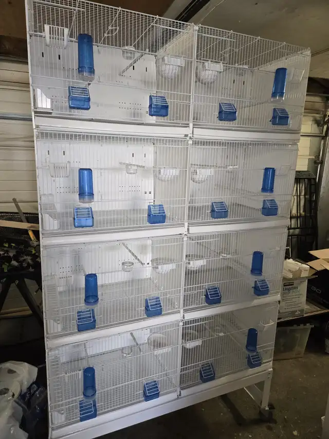 Professional Italian Bird Breeding Cages With Stand On Wheels