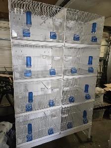 Professional Italian Bird Breeding Cages With Stand On Wheels