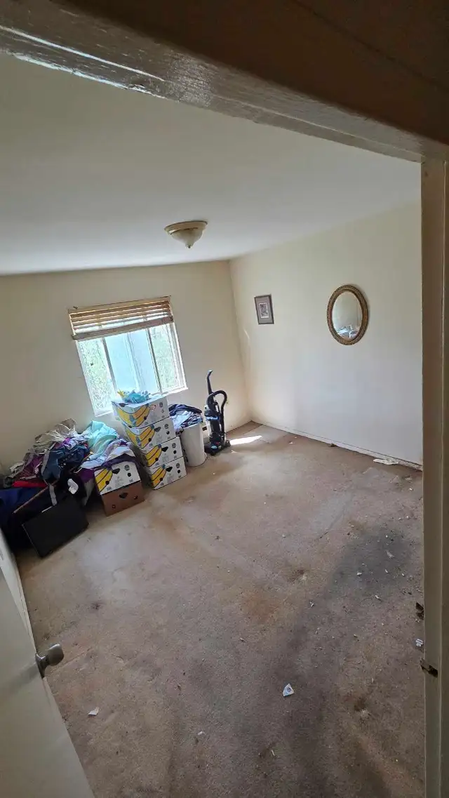 Junk Removal - Photo 4