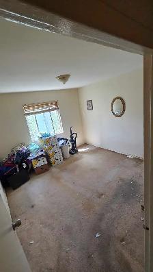 Junk Removal - Photo 4