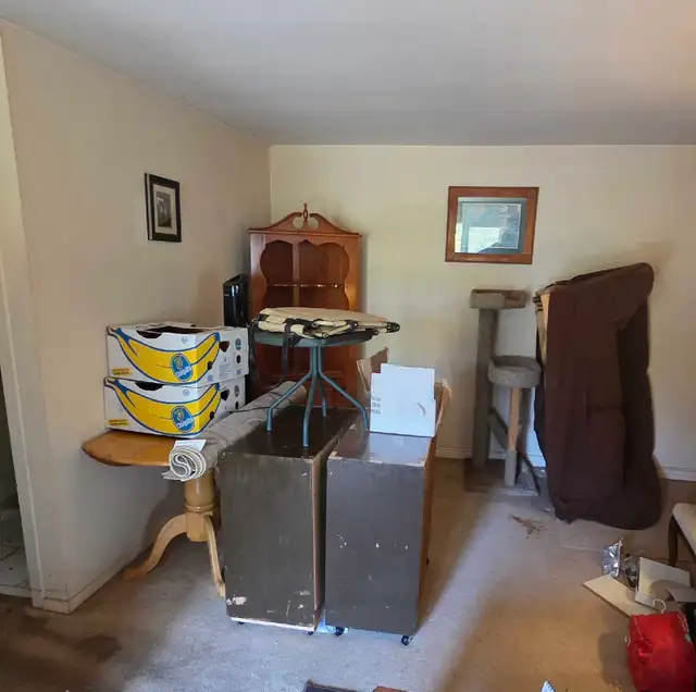 Junk Removal - Photo 5